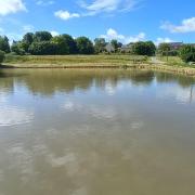 L'étang communal de Trimer